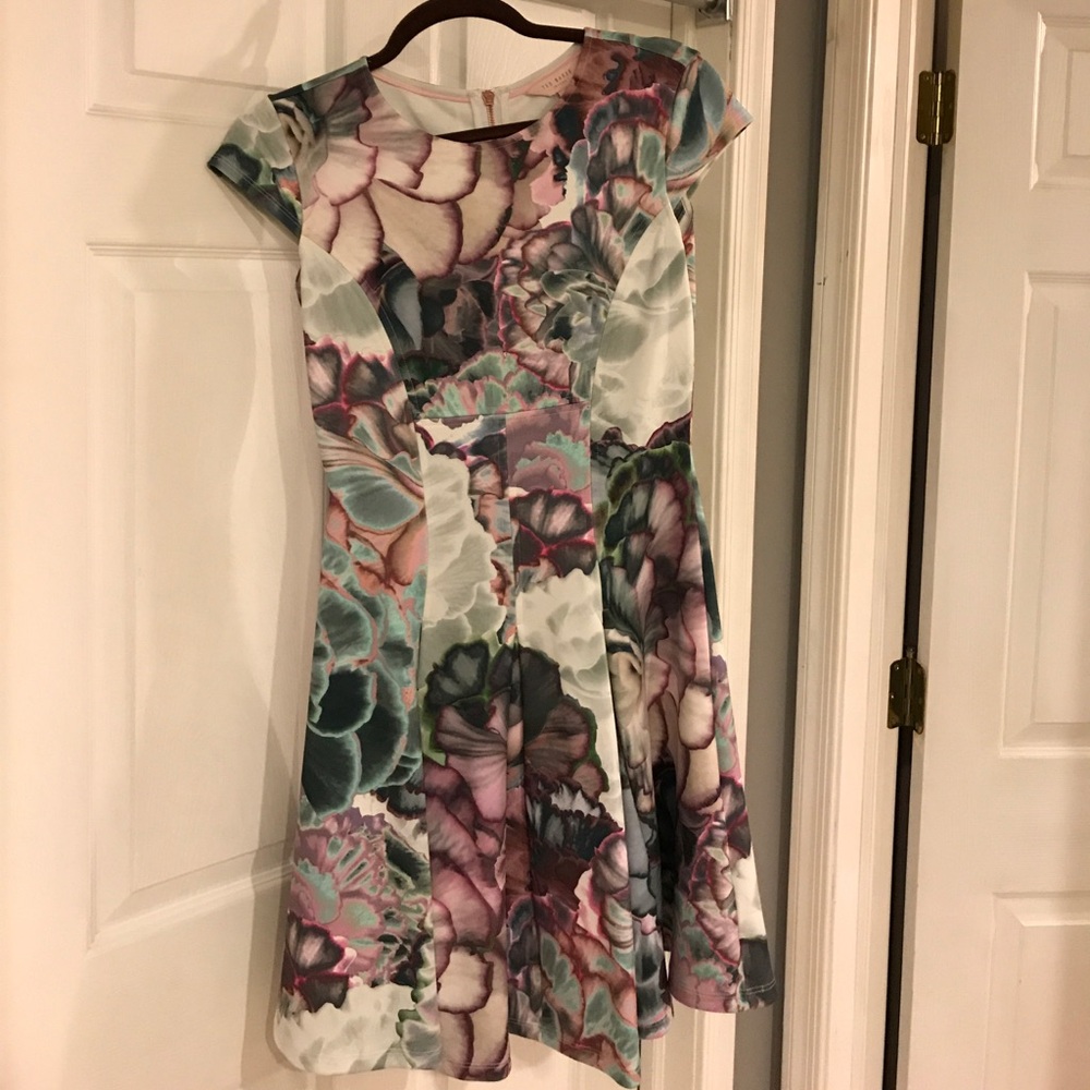 Ted Baker Floral Fit-and-Flare Midi Dress in Pastel Multi, (fits 4-6), Like New